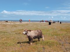 -青海湖国家重点风景名胜区
