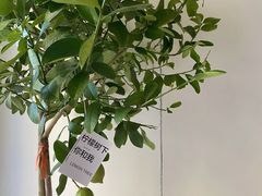 -fishtank鱼缸咖啡(三山街店)