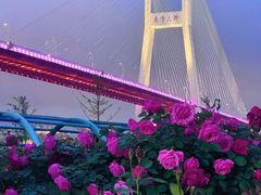 -外滩8号 whisky bar(金延大厦店)