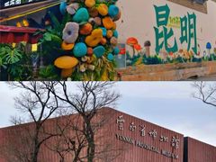-昆明动物园