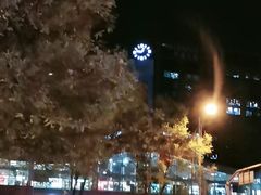 -Global酒吧(五道口店)