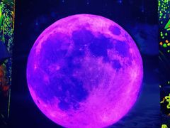 -成都梵高星空艺术馆(春熙路旗舰店)