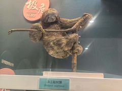 -国家自然博物馆