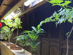 -望京一号·重庆江湖菜(工体店)