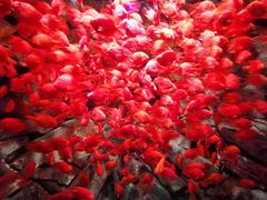 -波塞冬旅游度假区