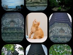 -玲珑塔公园