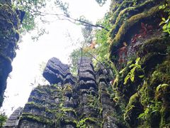 -梭布垭石林景区