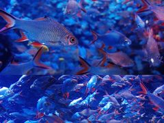 -成都浩海立方海洋公园