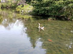 -白马涧龙池景区