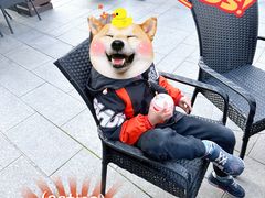 -虾乐园龙虾·夜宵(松江店)