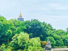 -红梅公园
