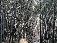 -穹窿山景区