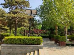 -古塔公园