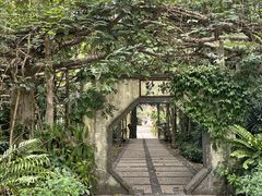 -广西壮族自治区药用植物园