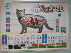 -半岛宠物医院24小时(科华中路店)