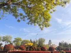 -青岛方特梦幻王国