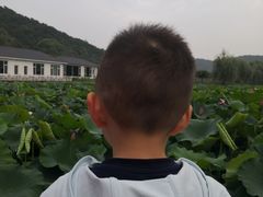 -龙寺生态园