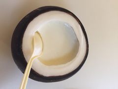 -志龙皇冠吃货椰子铺