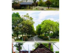 -泗洪洪泽湖湿地景区