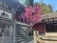 -都江堰普照寺