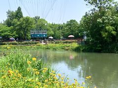 -西溪国家湿地公园