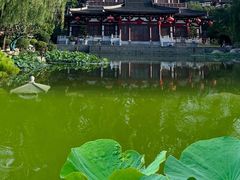 -华清宫景区