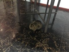 -鱼乐岛餐厅·户外花园主题餐厅