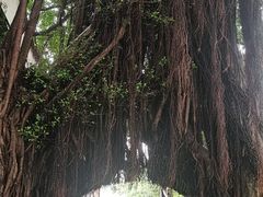 -乌山风景区