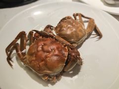 毛蟹-加餐海鲜自助(宝龙一城店)