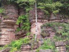 -黎坪国家森林公园