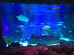 -沈阳海洋探索中心