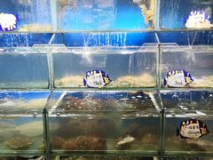 水产区-小船渔村•大连菜•大连焖鱼(明泽街店)