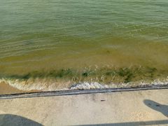 -北海金海湾红树林生态旅游区