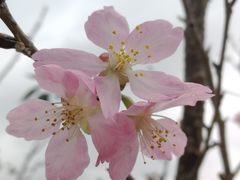 -田野绿世界