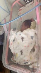 -梓爱月子中心(花都店)