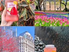 -茶理宜世(东方宝泰店)