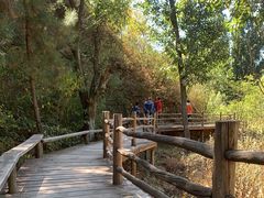 -蟠龙山长城景区