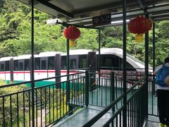 -溪口-滕头旅游景区