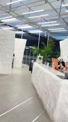 -BOF HAIR BY HONTO
