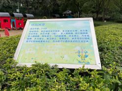 -酷酷兔少儿拓展天地