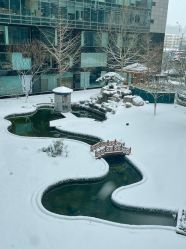 -Oasis Beauty水磨坊科技美肤中心