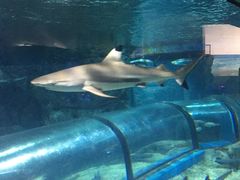 -福州罗源湾海洋世界旅游区