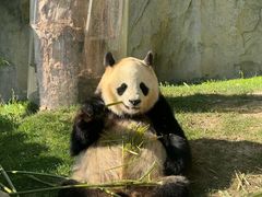 -上海野生动物园