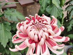 -共青国家森林公园-售票处