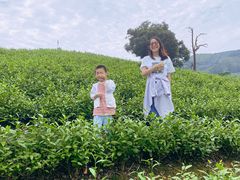 -帐篷客·溪龙茶谷度假酒店