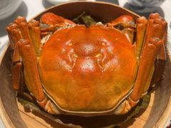 -子福慧(虹桥店)
