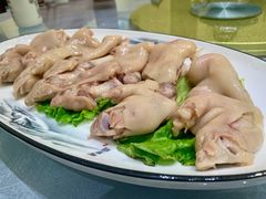 -丁老爷子苏香圆