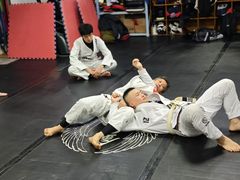 -金翼跆拳道巴西柔术拳击格斗学院