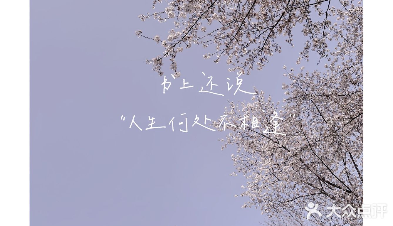 玉渊潭来啦