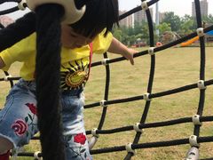 -菊园百果园